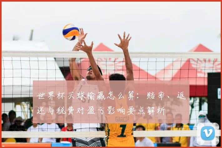 世界杯买球输赢怎么算:赔率、返还与税费对盈亏影响要点解析