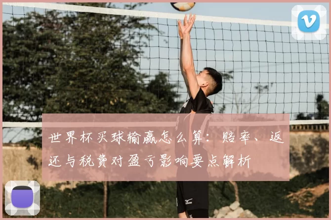 世界杯买球输赢怎么算:赔率、返还与税费对盈亏影响要点解析