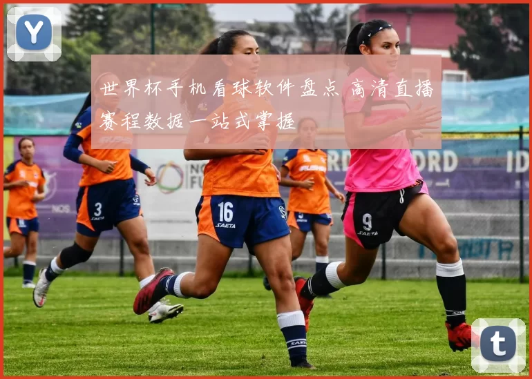 世界杯手机看球软件盘点 高清直播赛程数据一站式掌握